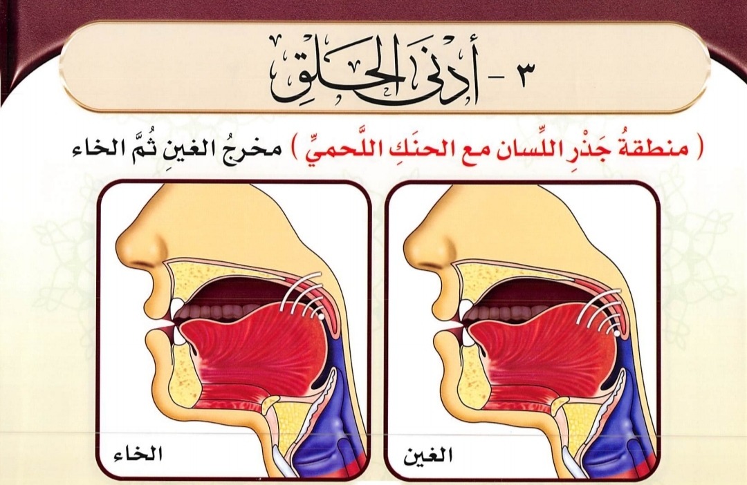 Adnal Halq (sumber gambar : Tajwid Al Mushawwar)
