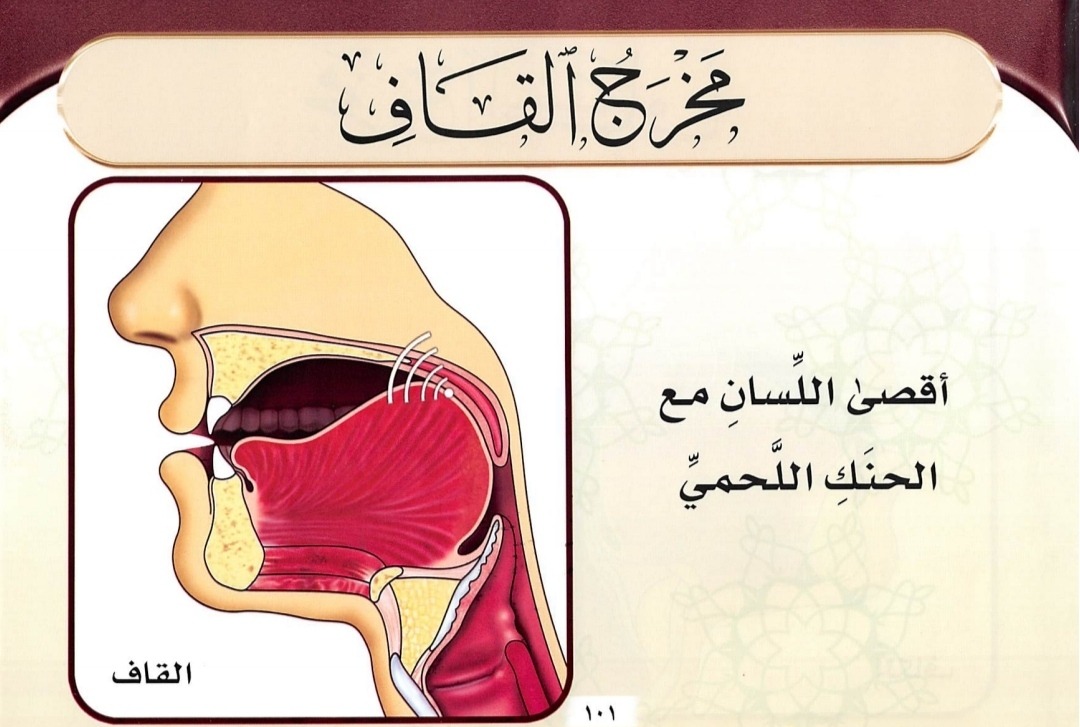 Makhraj Huruf ق (sumber gambar : Tajwid Al Mushawwar)