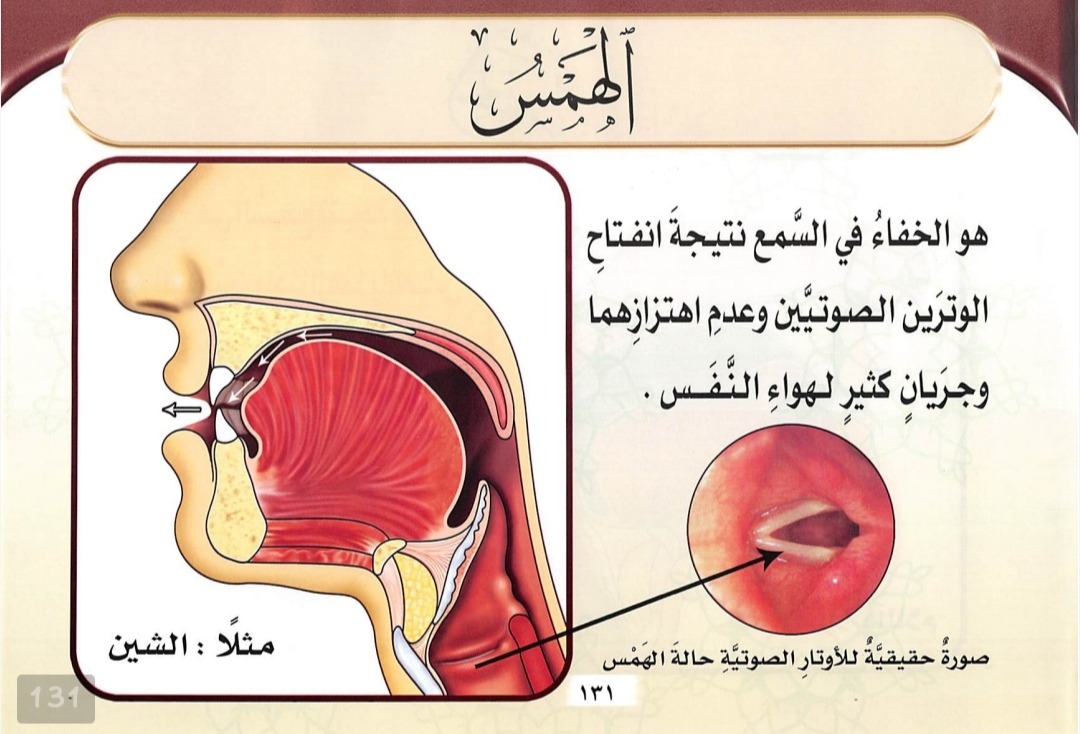 Shifat Hams (sumber gambar : Tajwid Al Mushawwar)