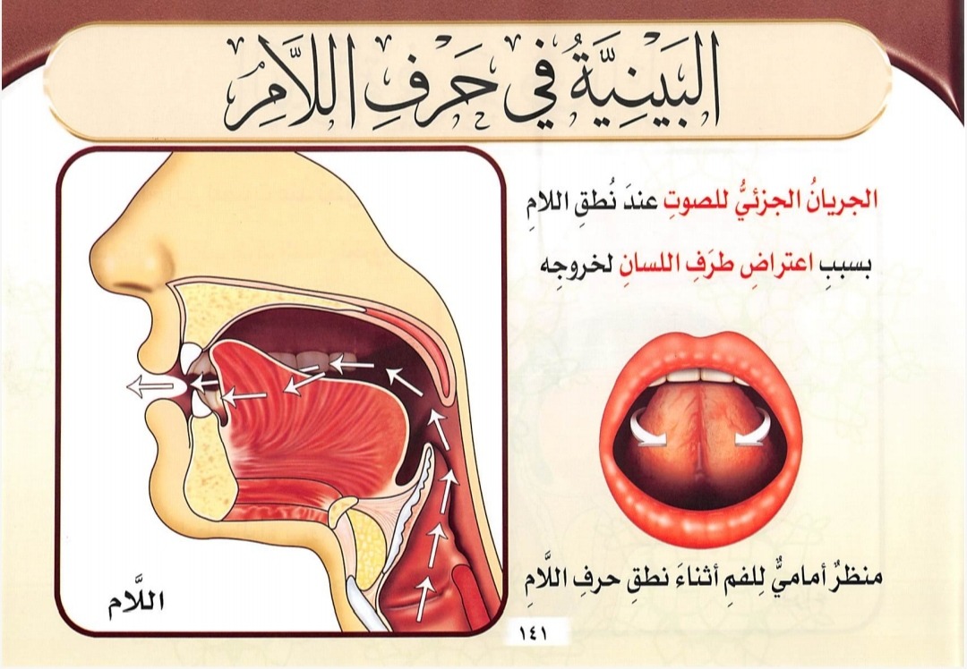 Bainiyyah pada huruf Lam (sumber gambar : Tajwid Al Mushawwar)