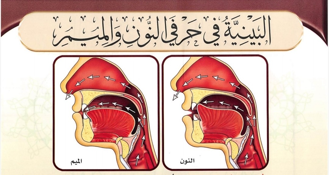 Bainiyyah pada huruf Nun dan Mim (sumber gambar: Tajwid Al Mushawwar)