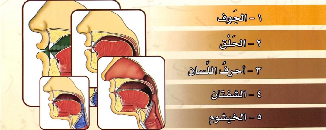5 Makhraj Secara Umum (sumber : Tajwid Al Mushawwar)